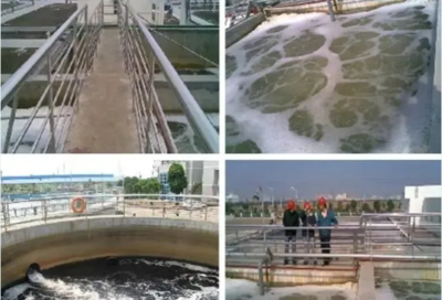 肖羽堂 以技術先鋒之姿，共繪企業環保監測新藍圖